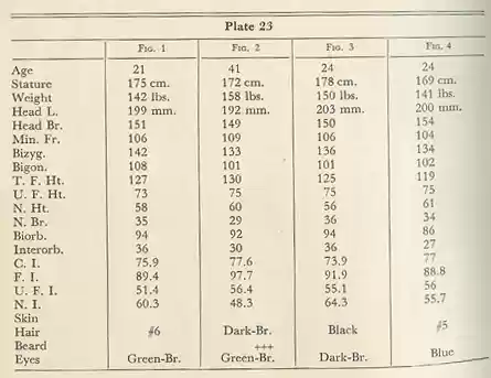 Plate 23